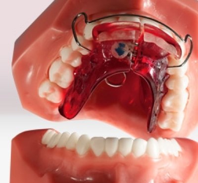 Dental Examination